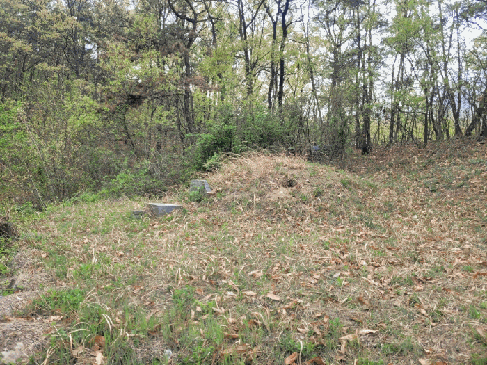 토지 2) 지상 분묘