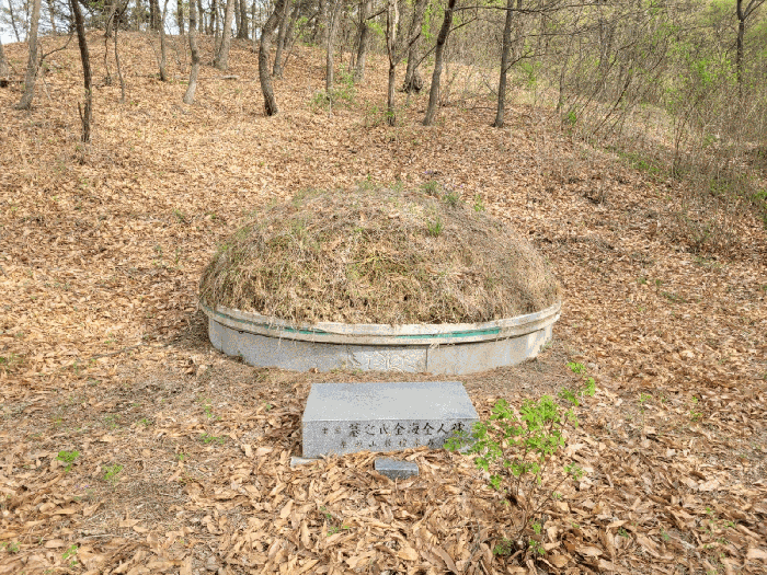 토지 2) 지상 분묘