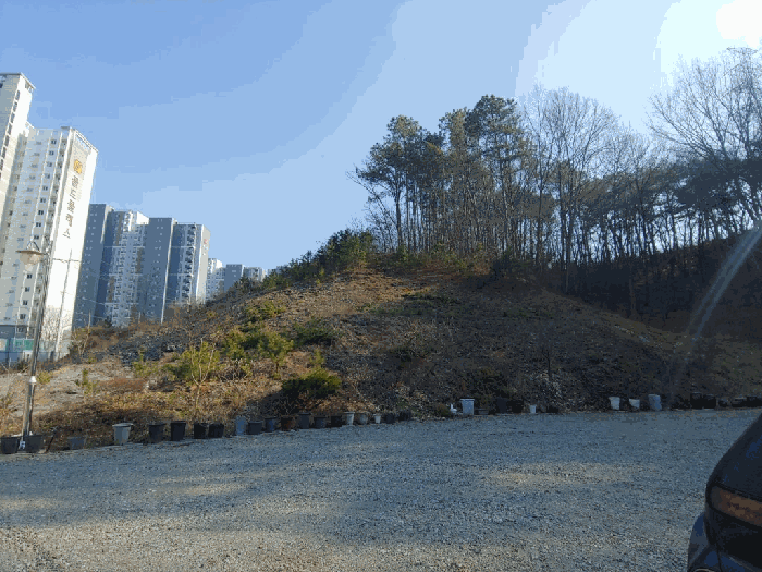 기호(1) 전경