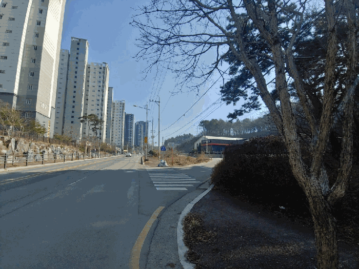 본건 주변 전경