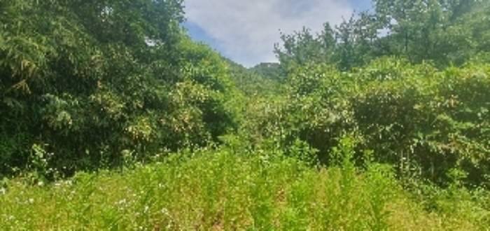 본건12,13 전경외 다수사진(본건27,32~34외 다수사진)