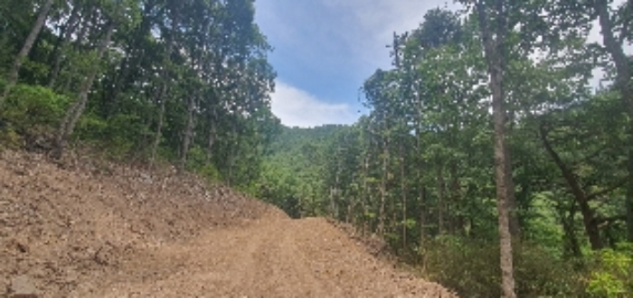 본건1내 임도 공사중인 사진2