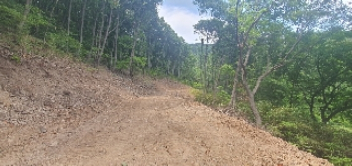 본건1내 임도 공사중인 사진3