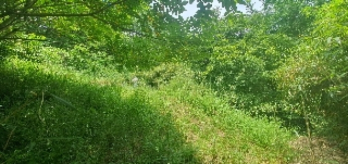 본건12,13,27,32,33,34외 다수 사진