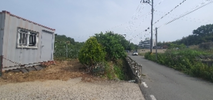 본건18 지상 제시외 과수목등 사진