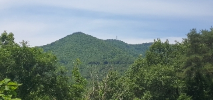 본건1 전경외 다수(본건9,10,11,14~16외 다수 사진)