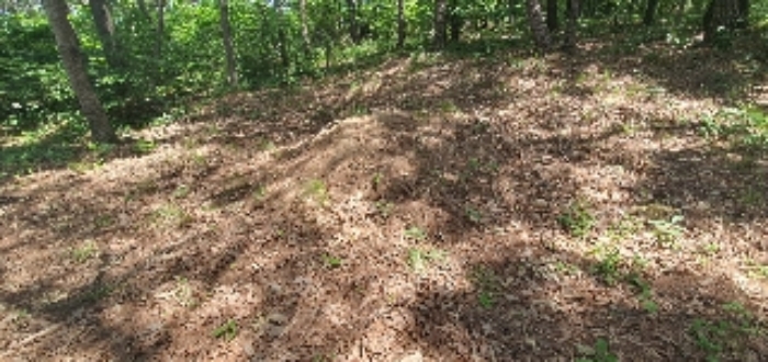 본건41 지상 제시외 분묘