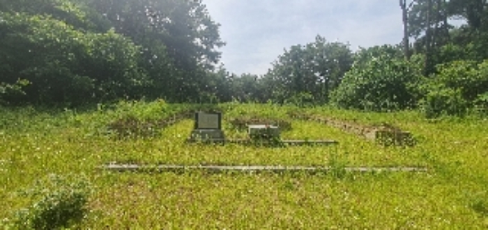 본건42 지상 제시외 분묘