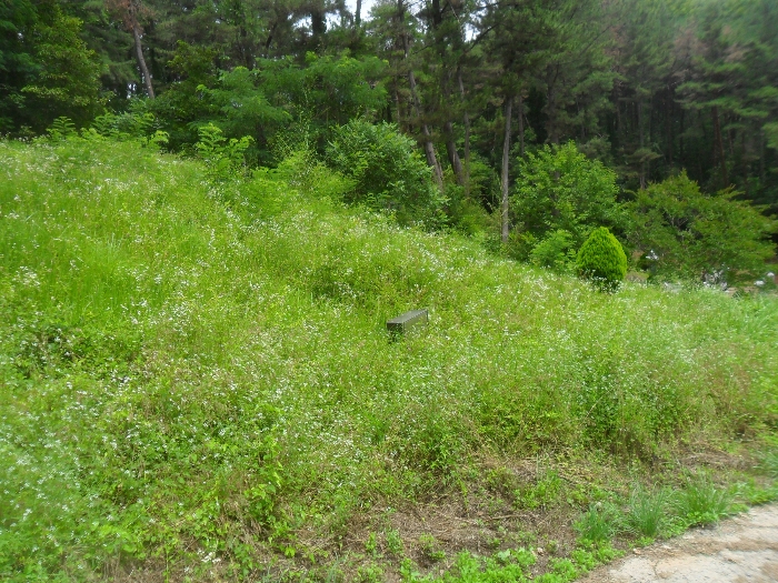 기호7 및 지상분묘