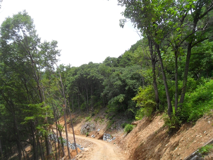 기호17 및 개설중인 임도