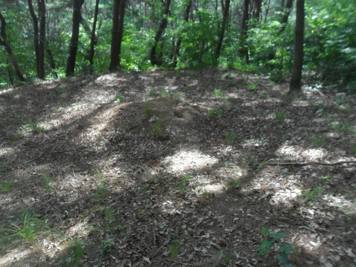 기호41 및 지상 분묘