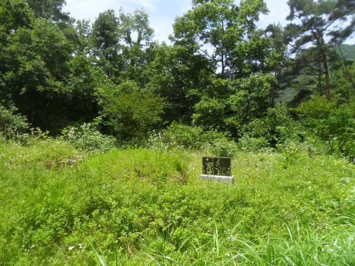 기호42 및 지상 분묘