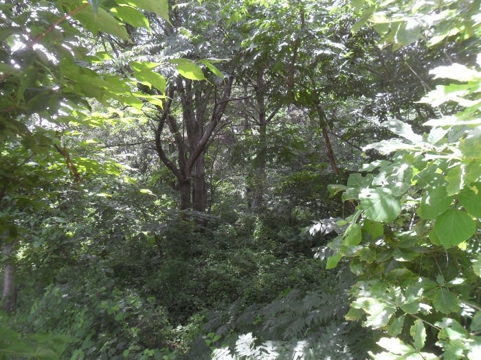 기호2,14,15,16,35,36,37.38