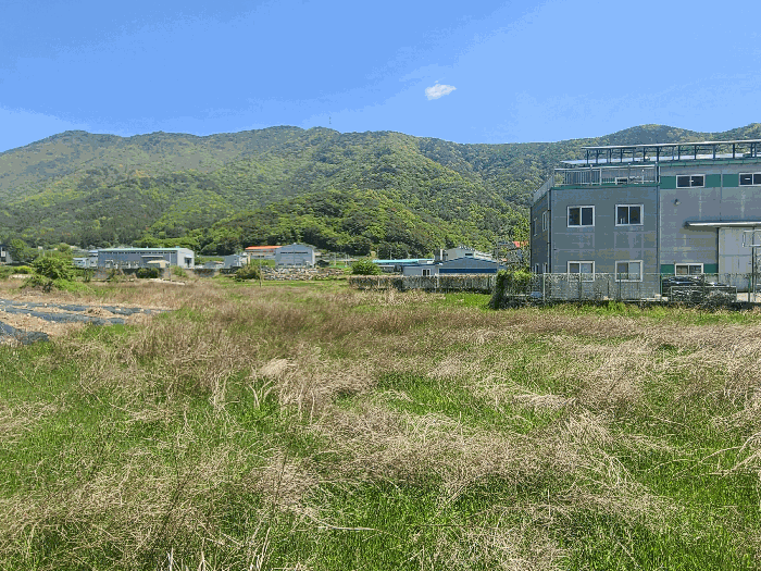 일련번호(3) 전경