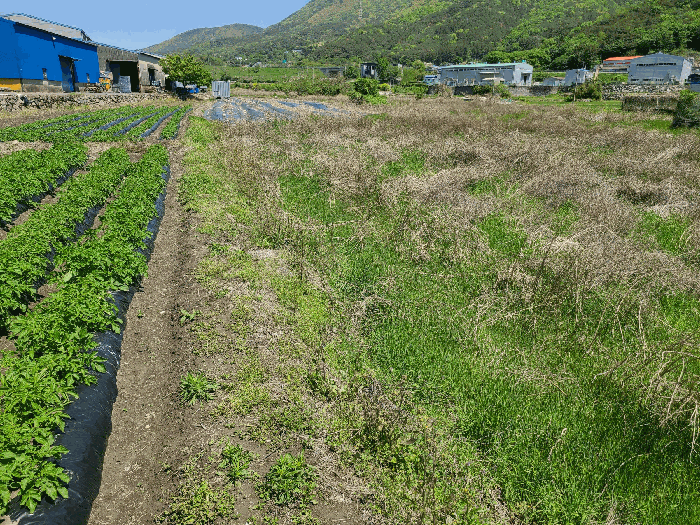 일련번호(2) 전경