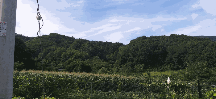[ 본건  전경 ]