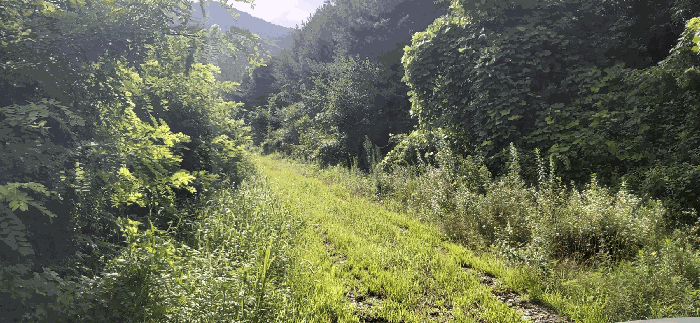 [ 본건(5,6)  전 경 ]