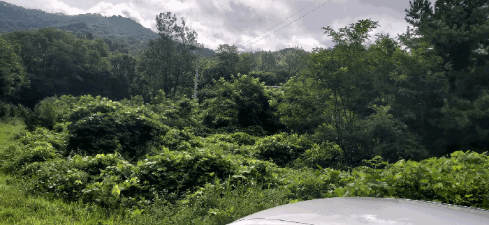 [ 본건(9.10,15)  전  경 ]