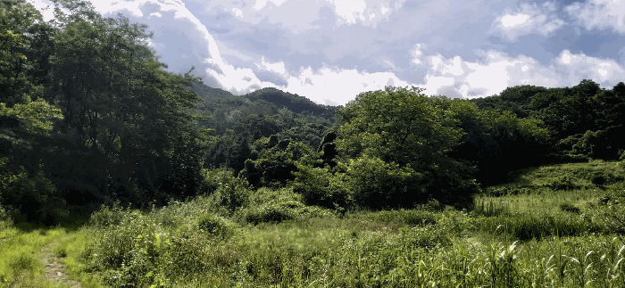 [ 본건(12,13,14) 전  경 ]