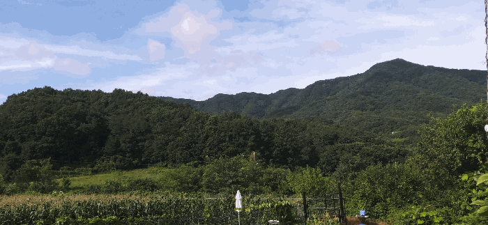 [ 본건  전경 ]