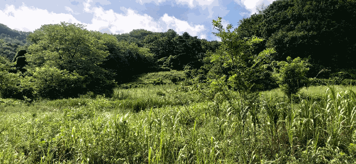 [ 본건(1)  전 경 ]