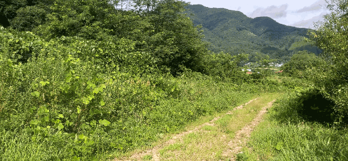 [ 본건(2,3,4)  전  경 ]