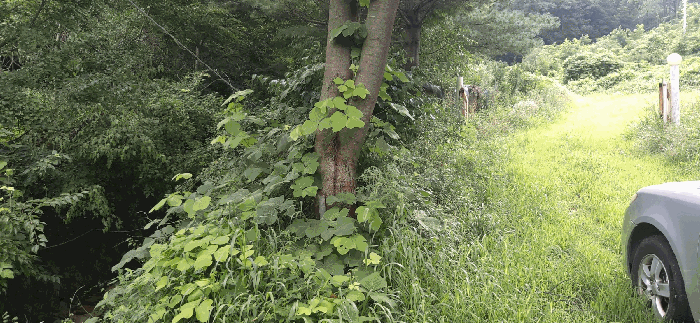[ 본건(17) 전경 ]