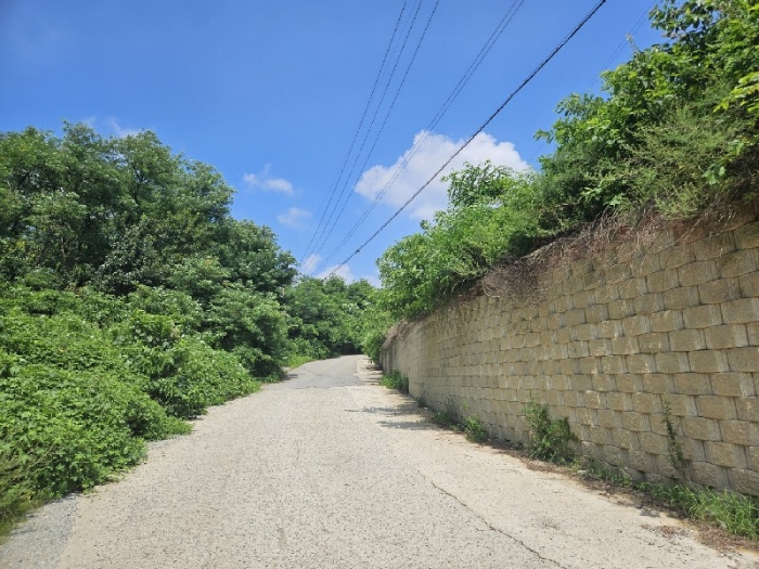 본건 일련번호(9),(10),(12)