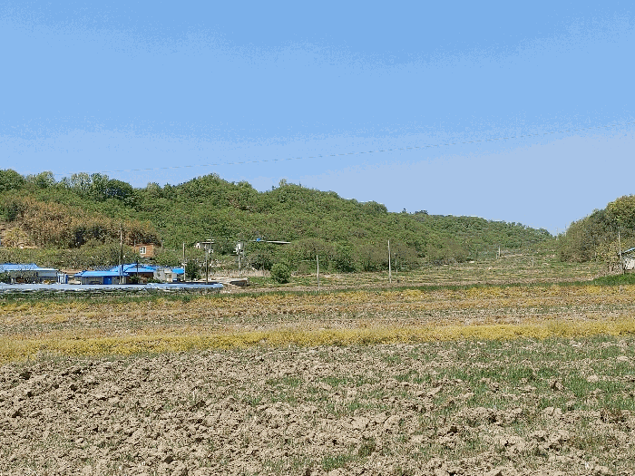 원거리에서의 기호(5) 전경