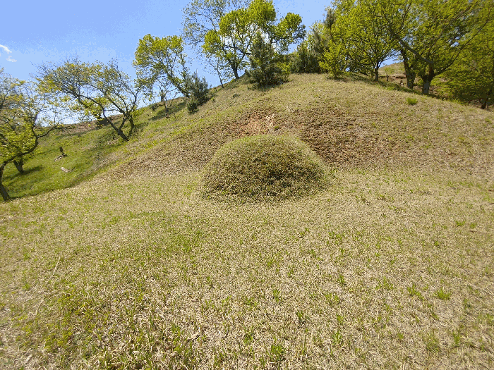 기호(5) 지상 소재 분묘