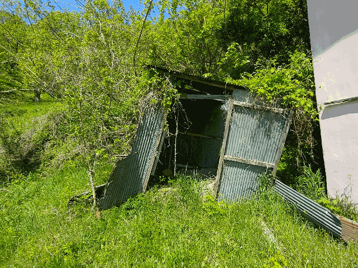 제시외건물(1-4)