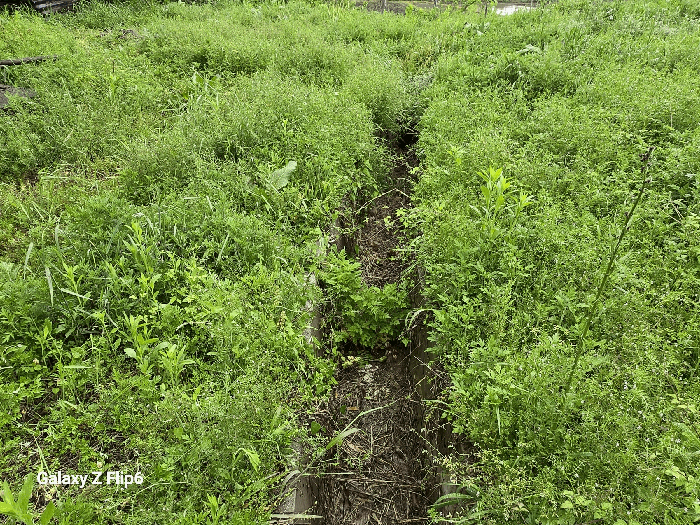 기호(1) 시설구거
