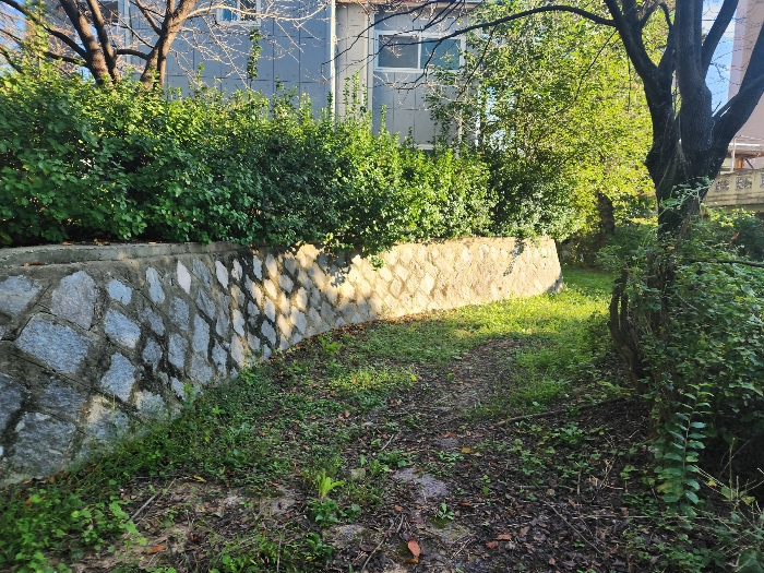 기호2(일부 현황 도로 추정 부분)