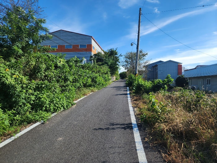 인접도로 및 주위환경