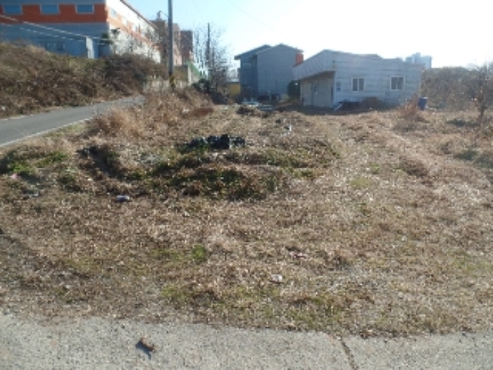 기호 6. 토지 전경