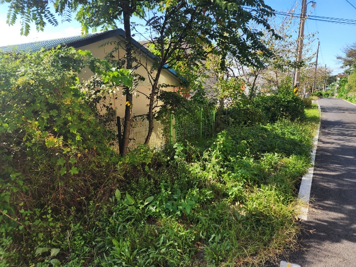 기호18(현황 도로 및 타인점유 추정 부분)