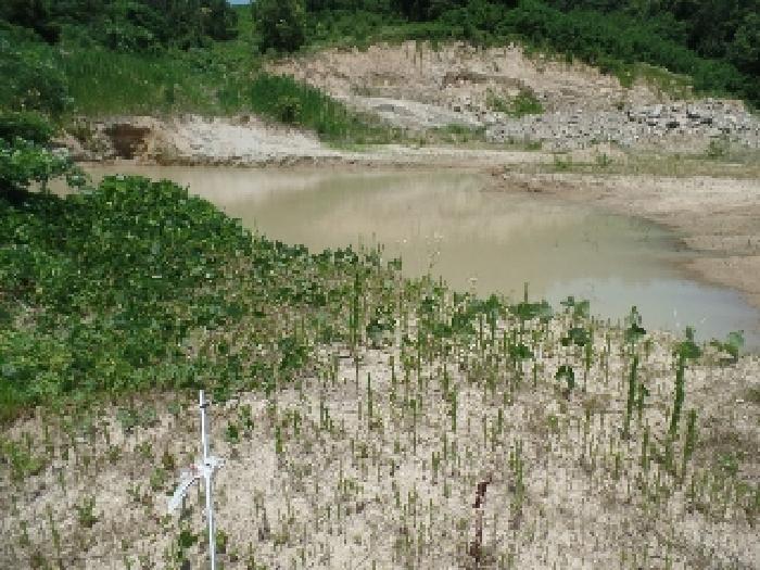 기호 6. 및 기호 7. 토지