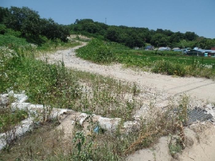 본건 진출입로(2024타경23367호와 중복부분)