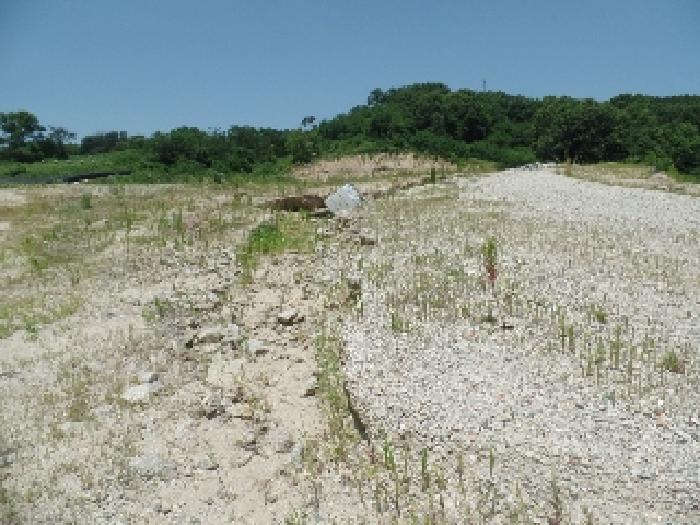 기호 2. 남측 하단 전경