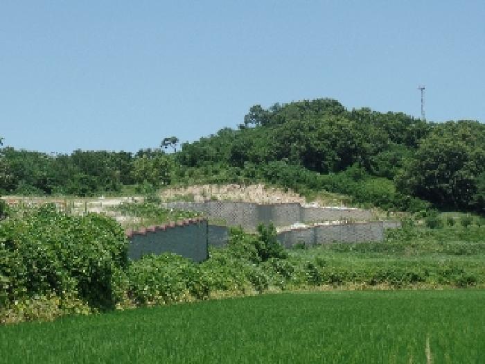 본건 및 주위환경