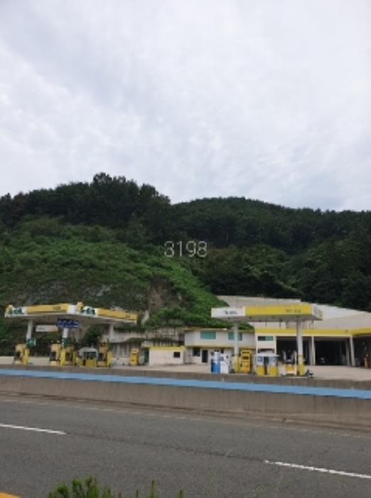 예림리 384-13 임야부분