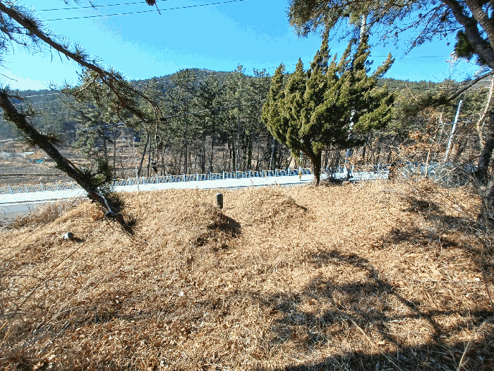 본건 및 인접토지(실안동 318-1, 답) 경계 부근 분묘 등