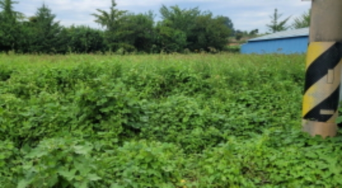 기호14 , 묵답 전경