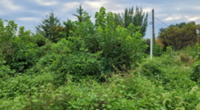 기호18. 임야, 현황 `묵답`