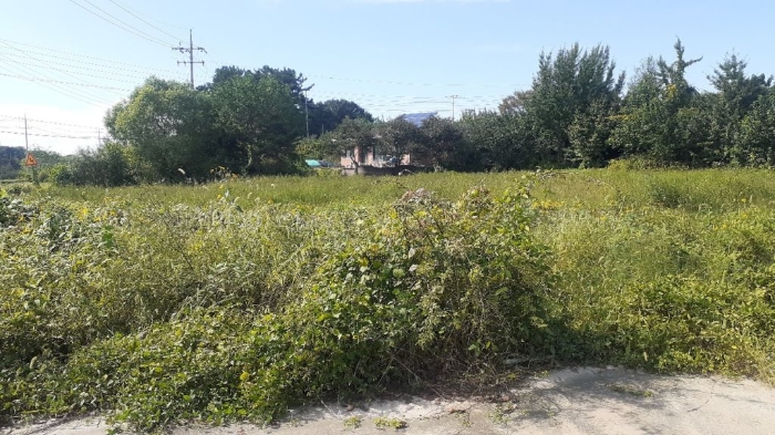 일련번호 10,11)토지