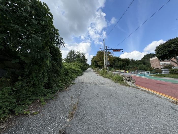 주위환경 및 접면도로 전경