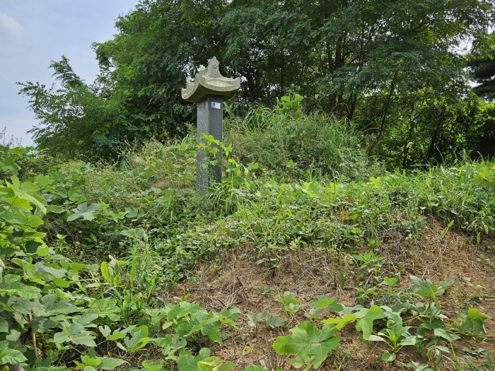 [본건 기호2 