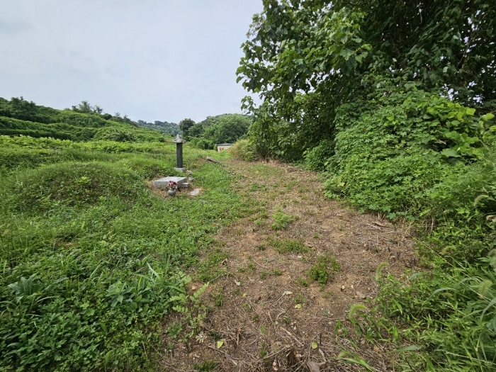 [본건 전경] 