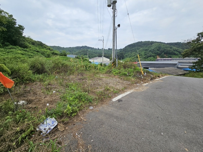 [본건 기호2 