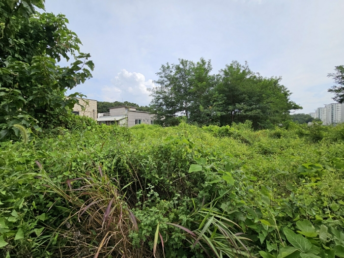 [본건 전경] 